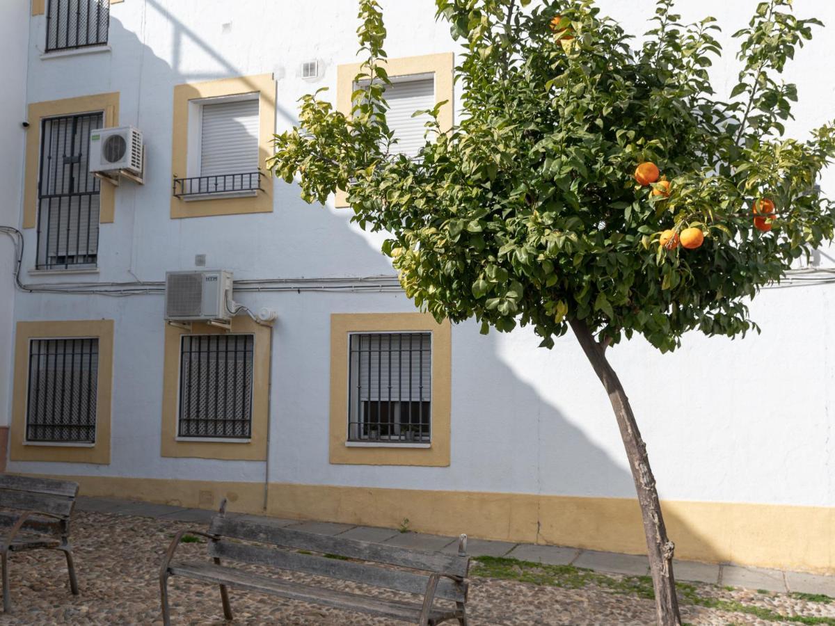 Nayber Gavia - Nuevo Y Centrico Apartamento En コルドバ エクステリア 写真
