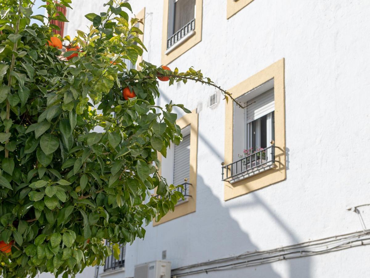 Nayber Gavia - Nuevo Y Centrico Apartamento En コルドバ エクステリア 写真